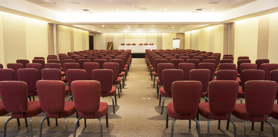 Plantas do sal&atilde;o